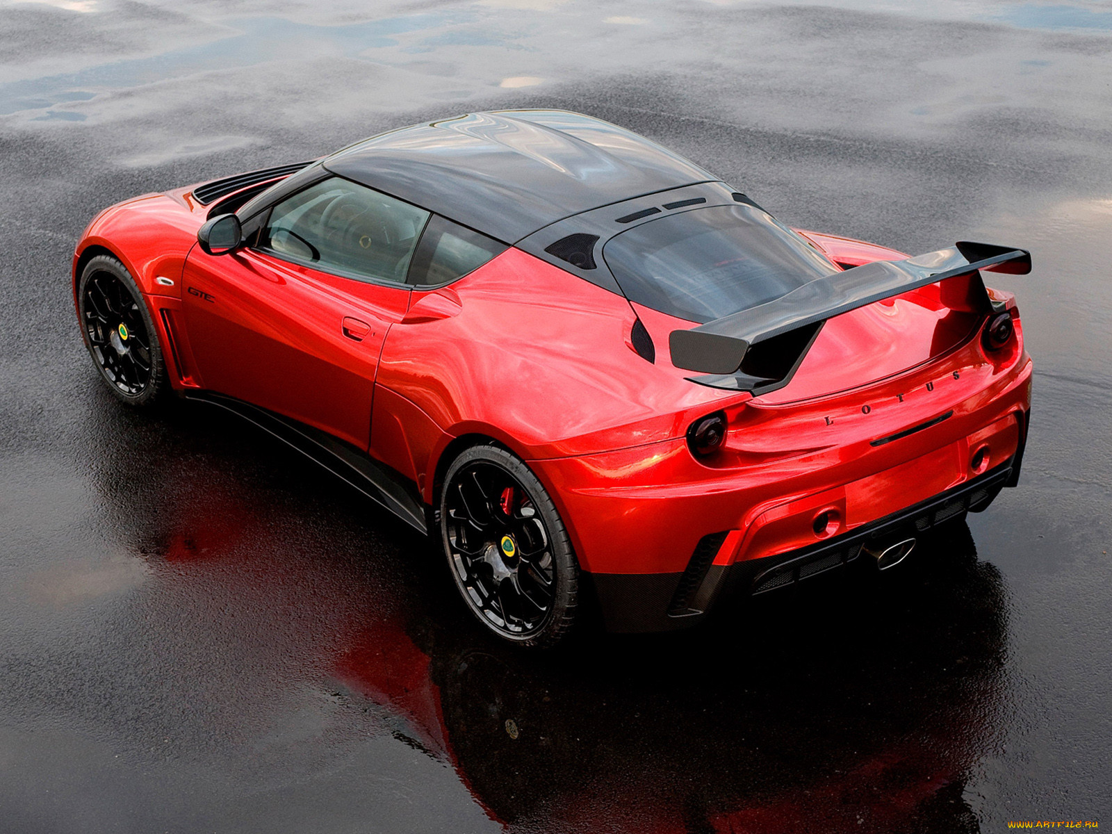 , lotus, evora